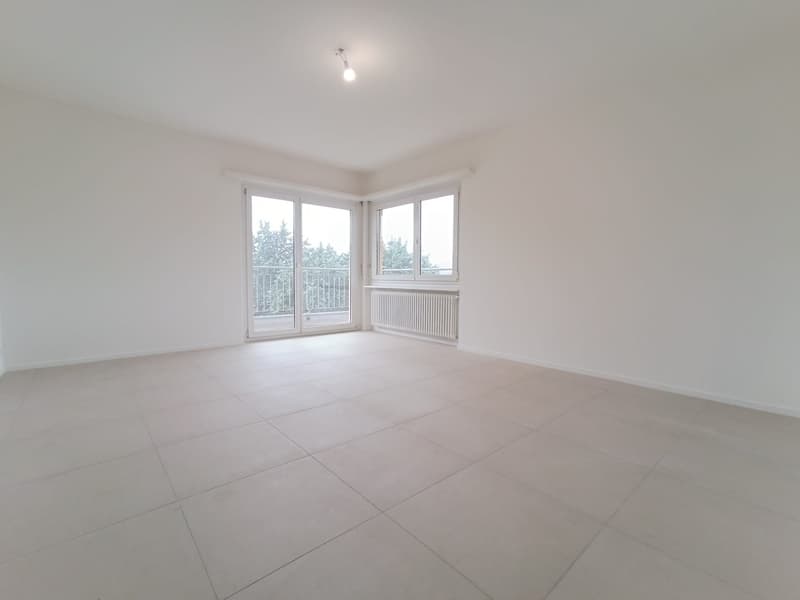 AFFITTASI APPARTAMENTO 2.5 LOCALI CON BALCONE A BALERNA (1)