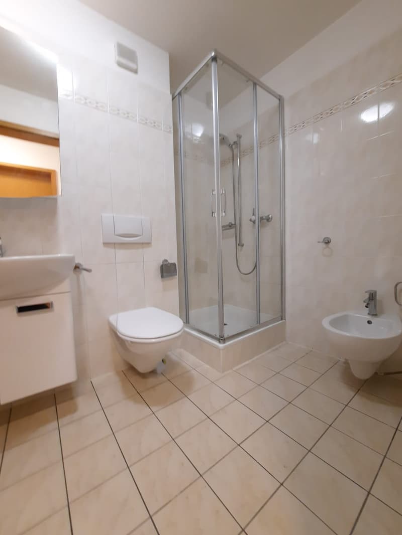 AFFITTASI 4.5 LOCALI A CASLANO (15)