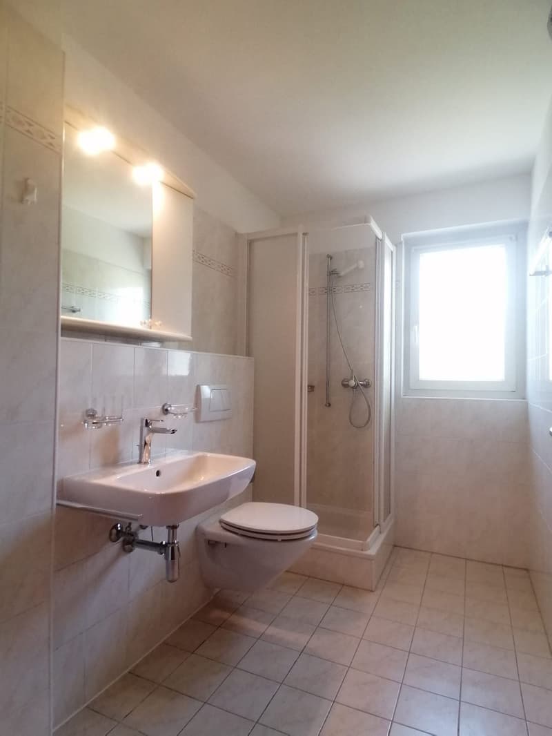 Zwei Lokale mit Balkon in Caslano zu vermieten (6)