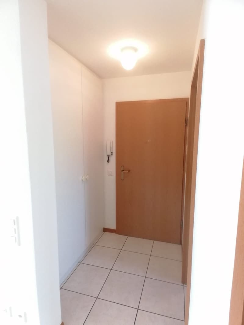 Zwei Lokale mit Balkon in Caslano zu vermieten (2)
