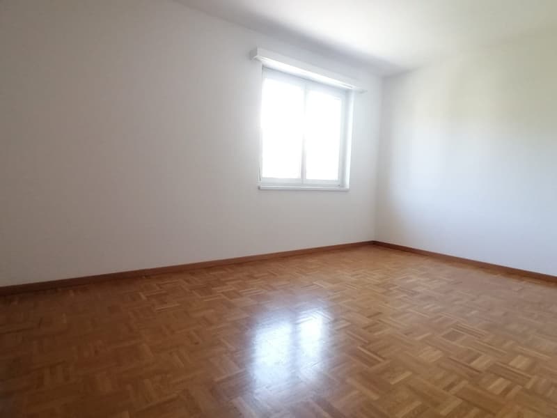 Zwei Lokale mit Balkon in Caslano zu vermieten (5)