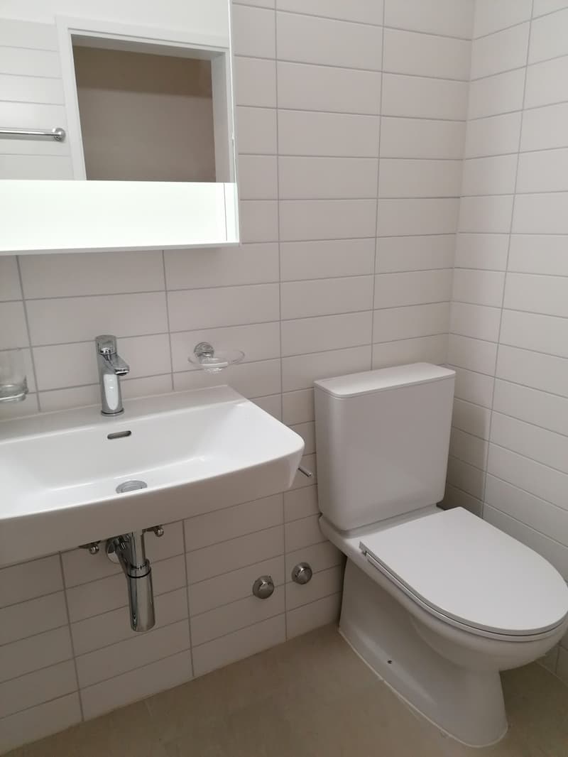 Rent 3.5 rooms with balcony in Bellinzona (8)