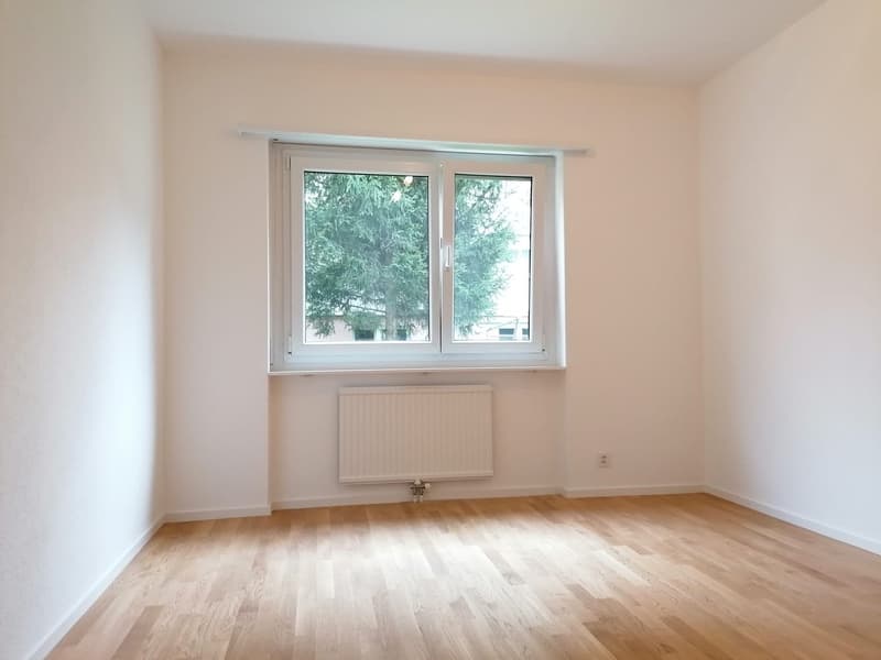 Rent 3.5 rooms with balcony in Bellinzona (7)