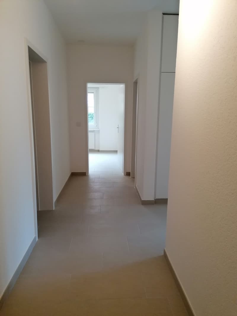 Rent 3.5 rooms with balcony in Bellinzona (5)