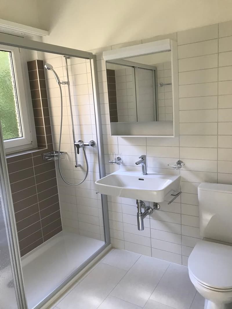 Rent 3.5 rooms with balcony in Bellinzona (9)