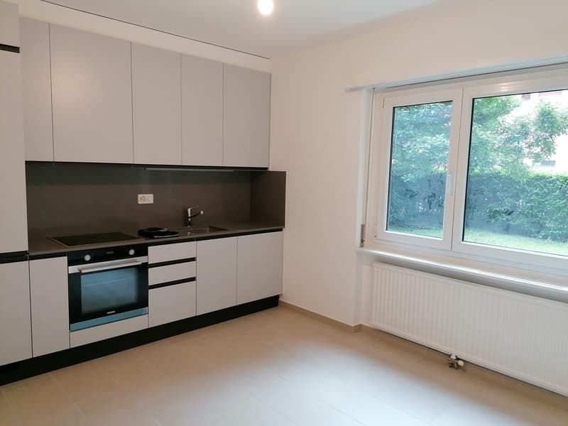 Rent 3.5 rooms with balcony in Bellinzona (1)
