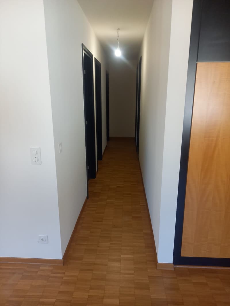 Affittasi 3.5 locali a Mendrisio (10)