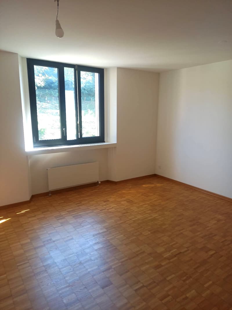 Affittasi 3.5 locali a Mendrisio (9)