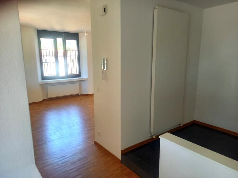Affittasi 3.5 locali a Mendrisio (6)