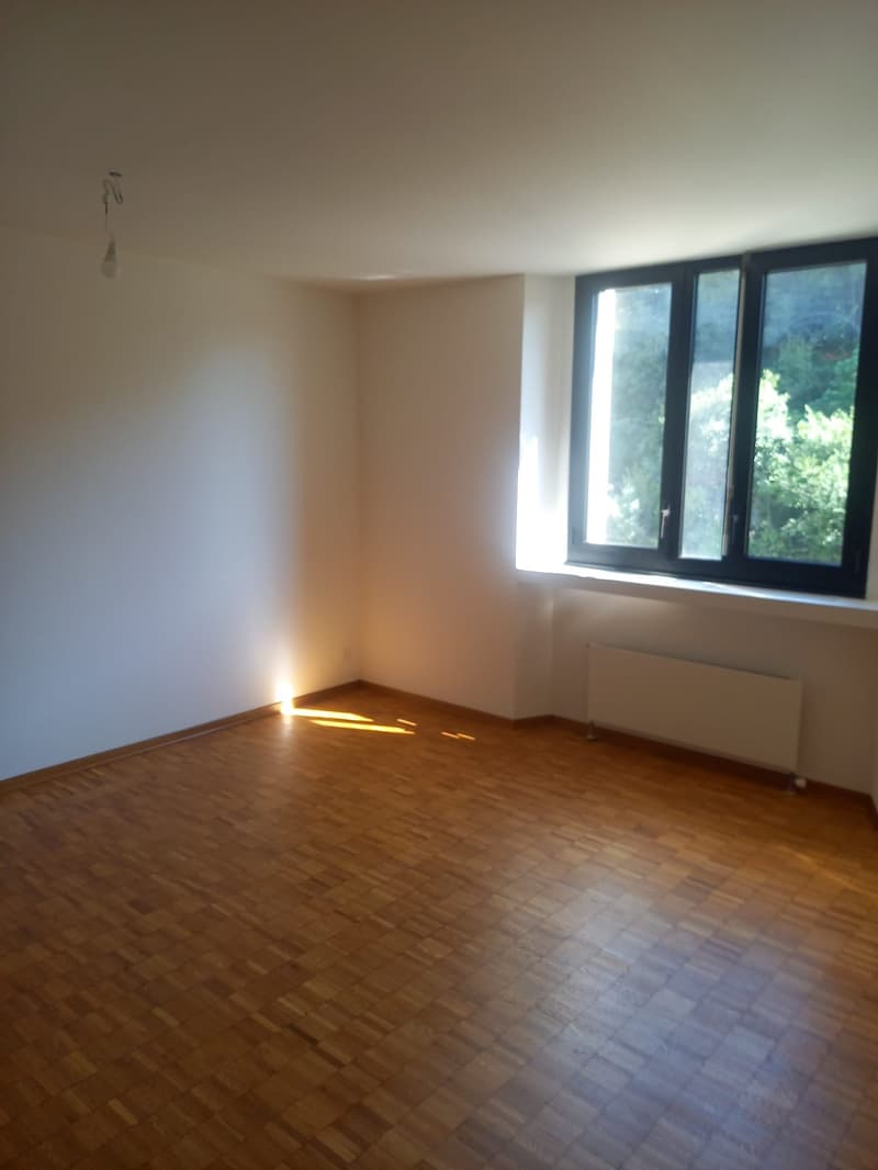 Affittasi 3.5 locali a Mendrisio (7)
