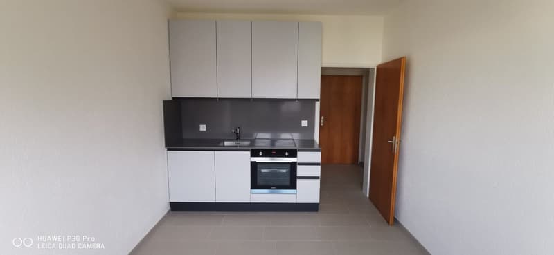 Appartamento 1.5 locali con balcone a Bellinzona (2)