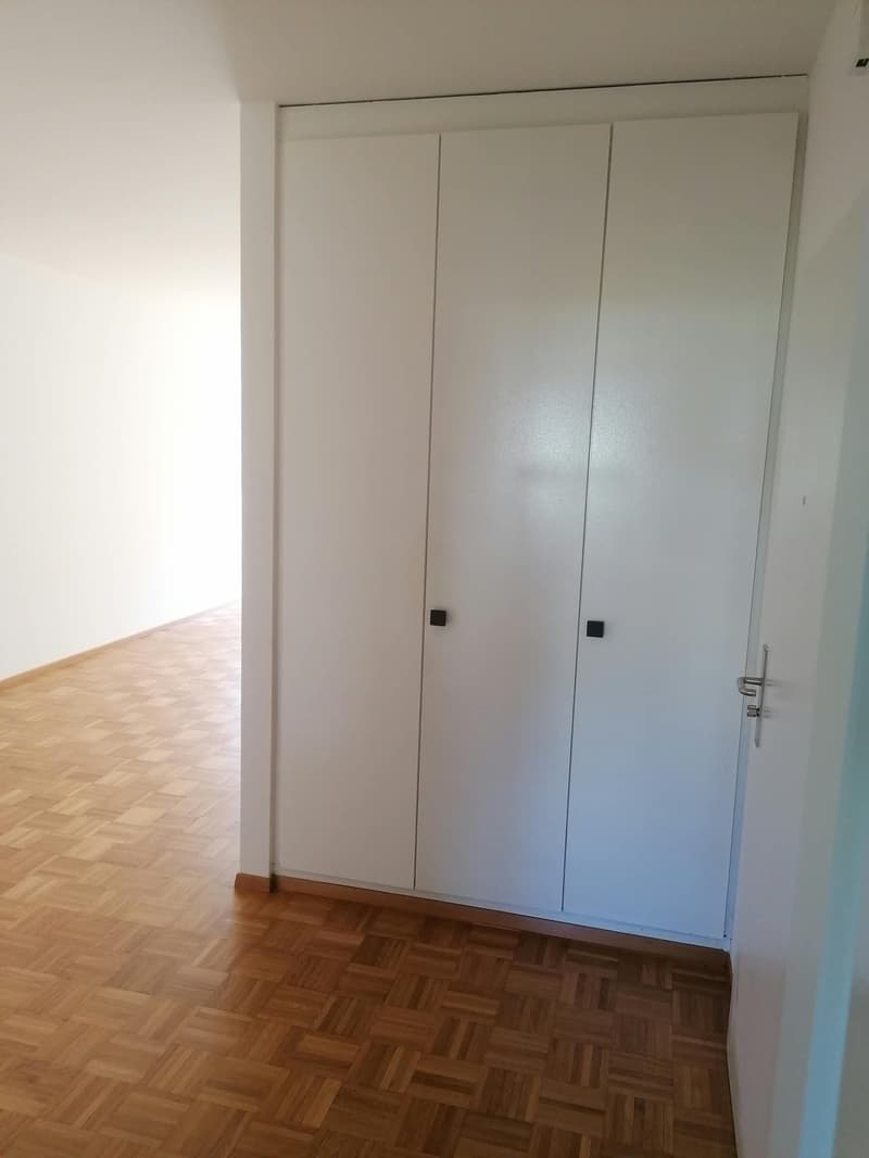 AFFITTASI APPARTAMENTO DI 4 LOCALI - BALERNA (4)