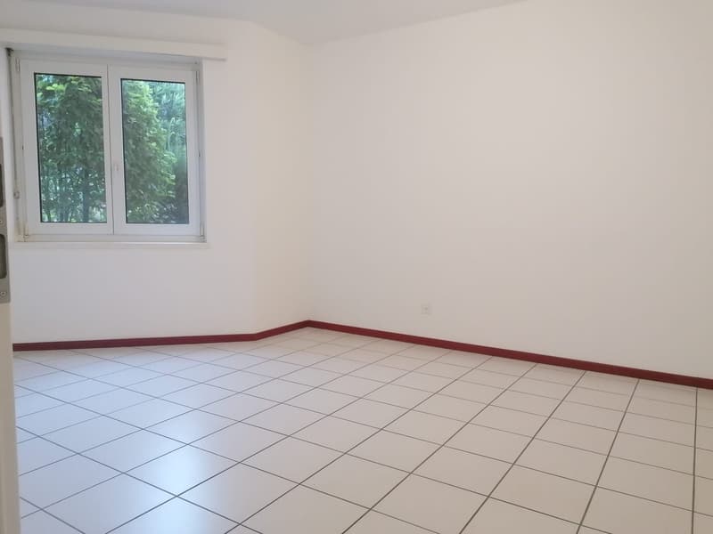 AFFITTASI APPARTAMENTO 2.5 LOCALI A MENDRISIO (5)