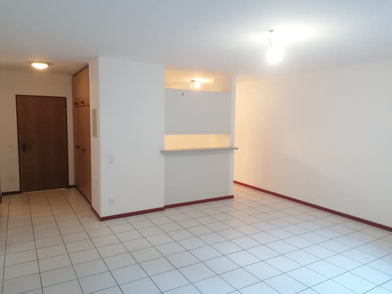 AFFITTASI APPARTAMENTO 2.5 LOCALI A MENDRISIO (3)