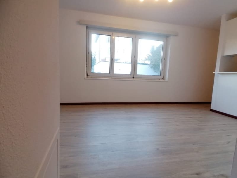 AFFITTASI APPARTAMENTO 2.5 LOCALI A MENDRISIO (3)