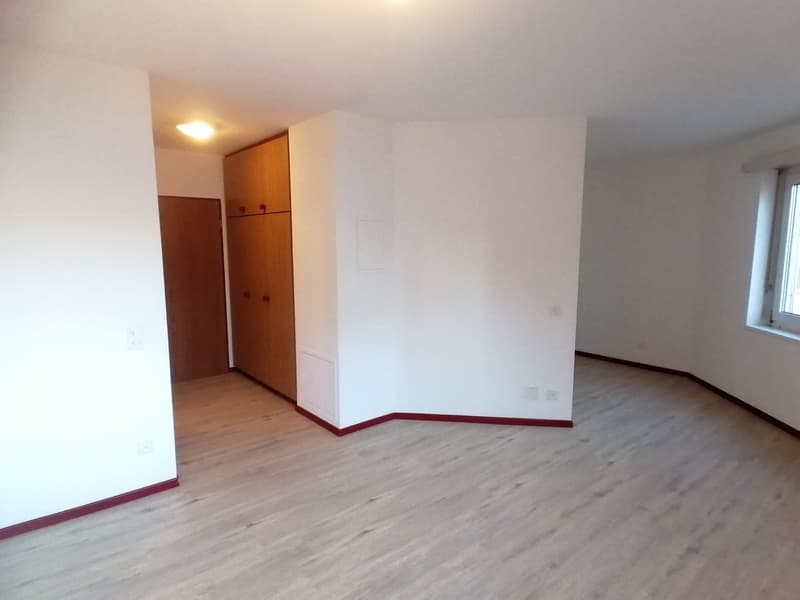 AFFITTASI APPARTAMENTO 2.5 LOCALI A MENDRISIO (2)