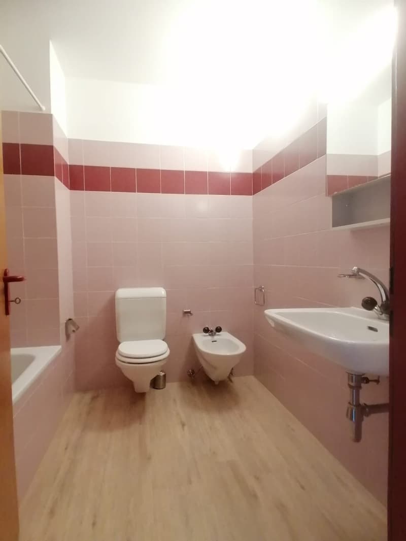 AFFITTASI APPARTAMENTO 2.5 LOCALI A MENDRISIO (7)
