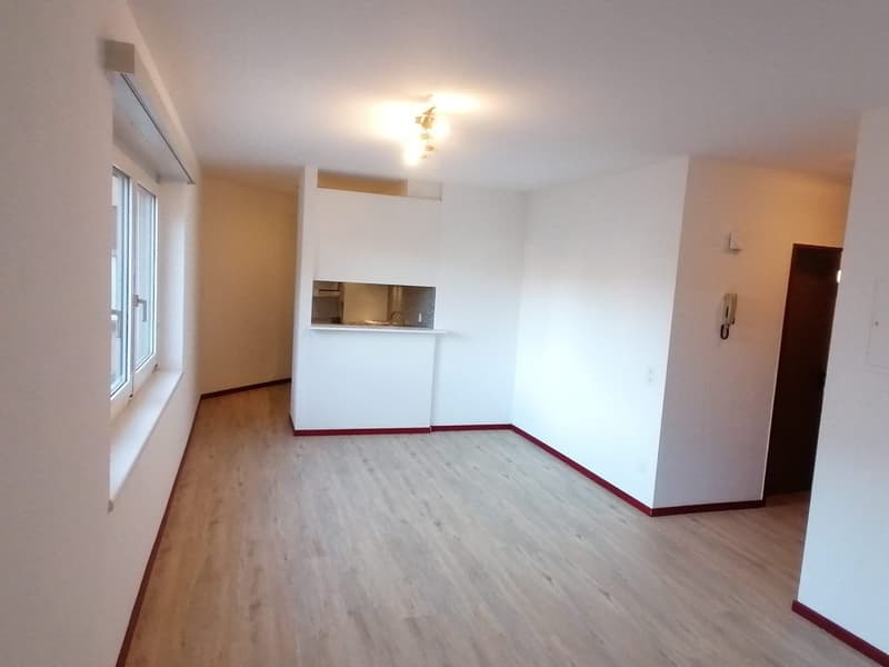 AFFITTASI APPARTAMENTO 2.5 LOCALI A MENDRISIO (1)