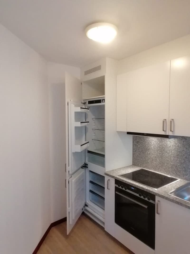 AFFITTASI APPARTAMENTO 2.5 LOCALI A MENDRISIO (6)