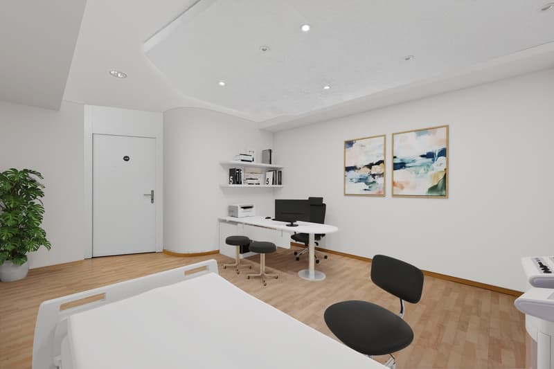 modern office room with white walls, wooden floor, white desk, black chairs, printer, computer, shelves with books, two paintings, potted plant