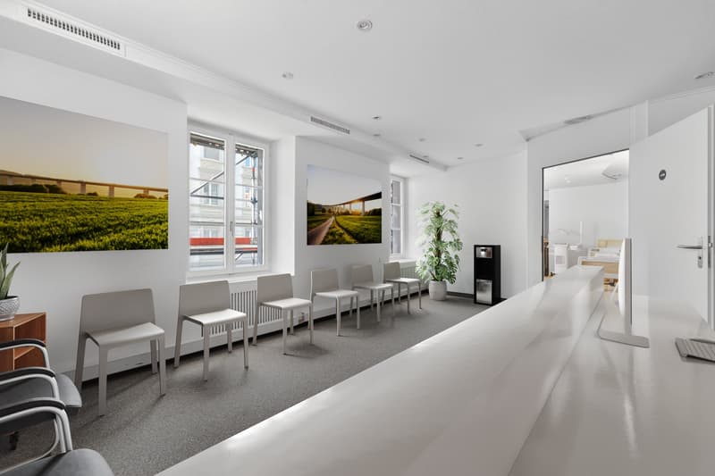 modern room with white walls, gray carpet, white chairs, large windows, potted plant, monitor, desk