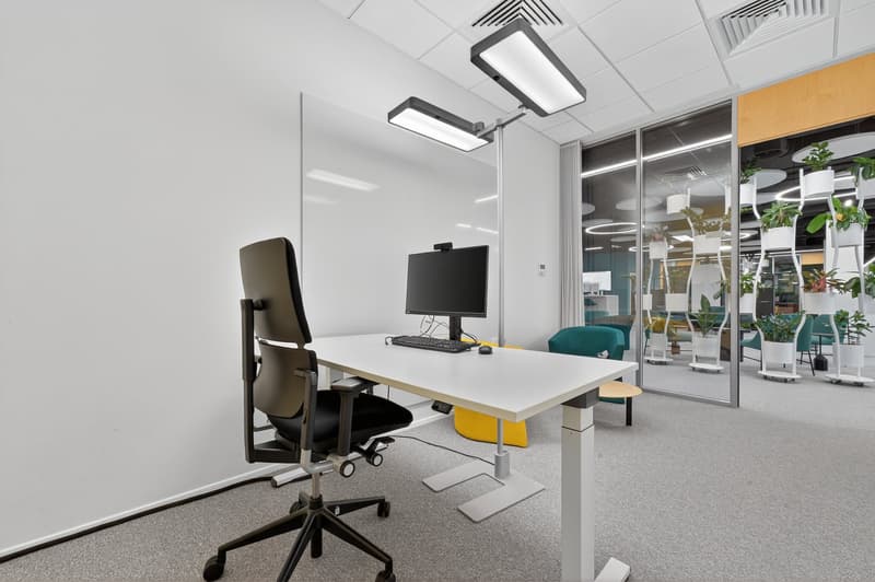 White desk with monitor, keyboard, and mouse. Black swivel chair, white carpet, and ceiling lights. Glass partitions and potted plants.