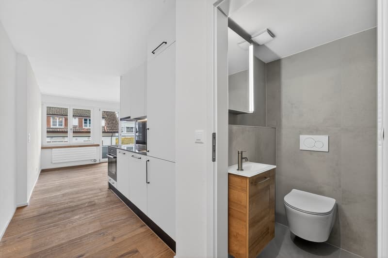 Appartamento moderno 1.5 locali con balcone a Hergiswil (3)