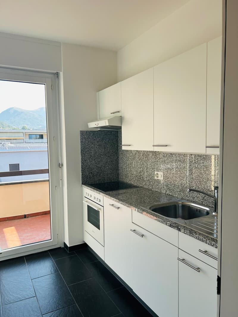 Bright 2.5-room apartment in Lugano (3)