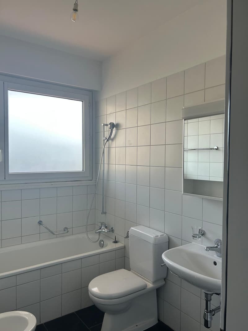Bright 2.5-room apartment in Lugano (7)