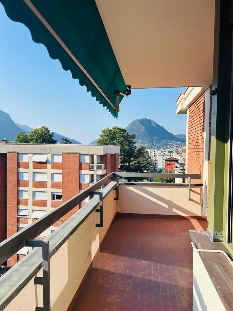 Bright 2.5-room apartment in Lugano (9)