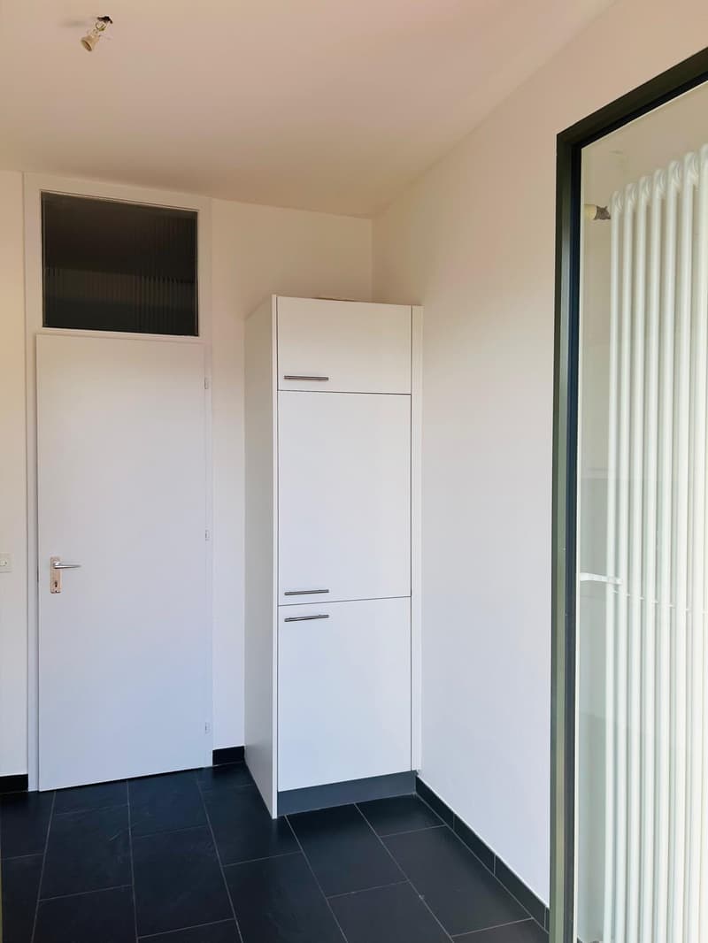 Bright 2.5-room apartment in Lugano (4)