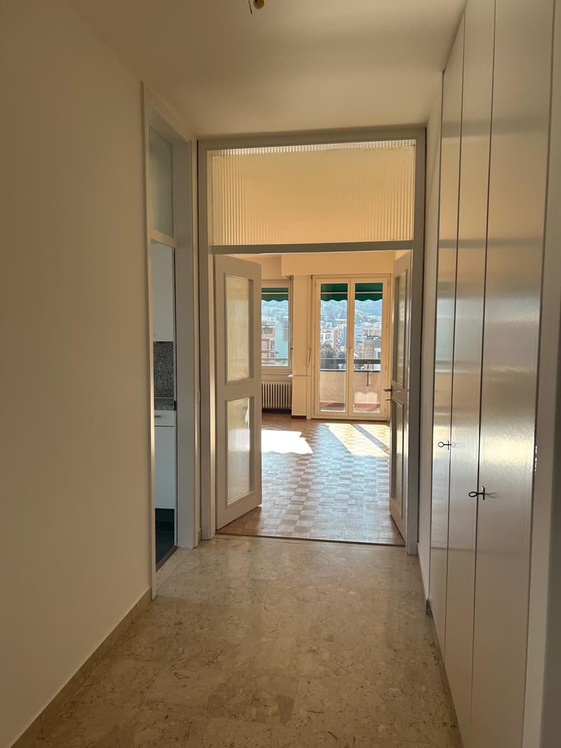 Bright 2.5-room apartment in Lugano (2)