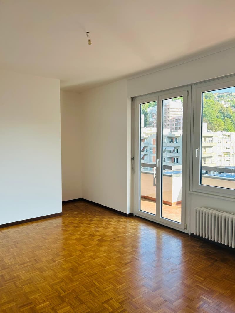 Bright 2.5-room apartment in Lugano (6)