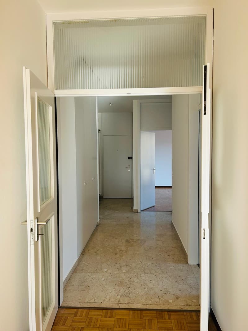 Bright 2.5-room apartment in Lugano (5)