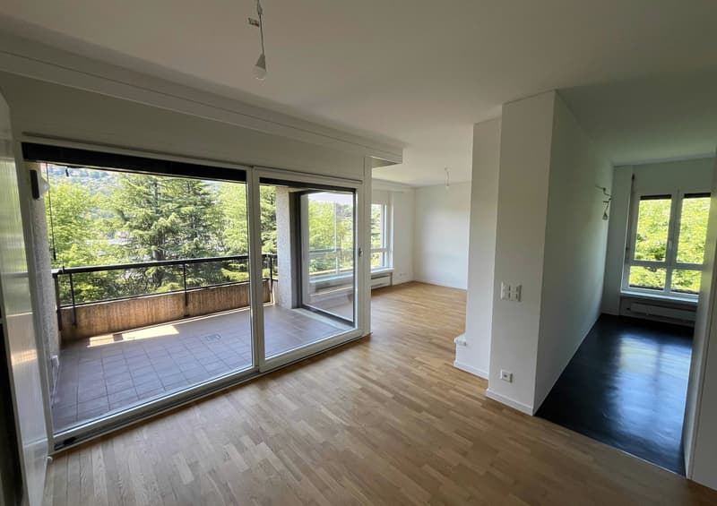 Luminoso e moderno appartamento di 2.5 locali con balcone a Lugano-Pregassona (1)