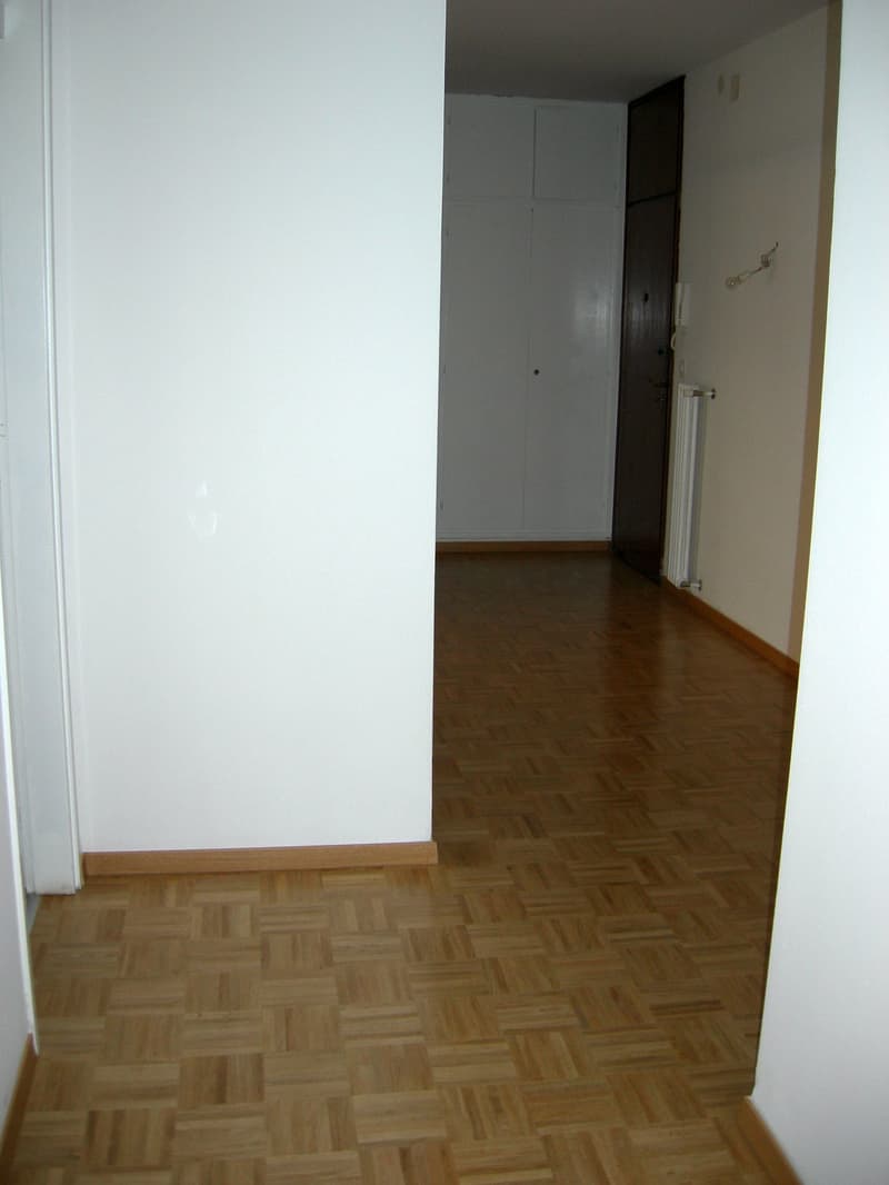 Appartamento luminoso di 3.5 locali con balcone a Viganello (5)