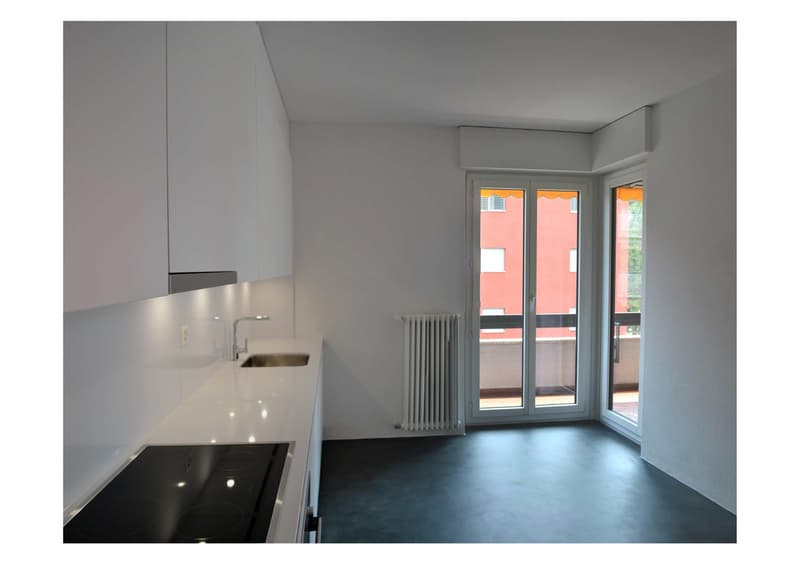 Luminoso appartamento di 2.5 locali con balcone a Lugano (2)