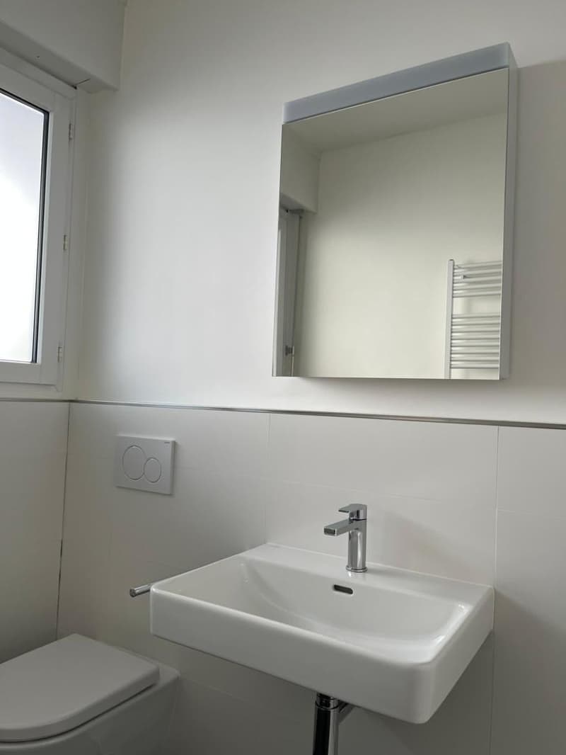 Luminoso appartamento di 2.5 locali con balcone a Lugano (5)