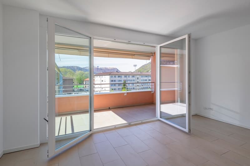 wide open doors, wooden floor, large balcony, window, railings