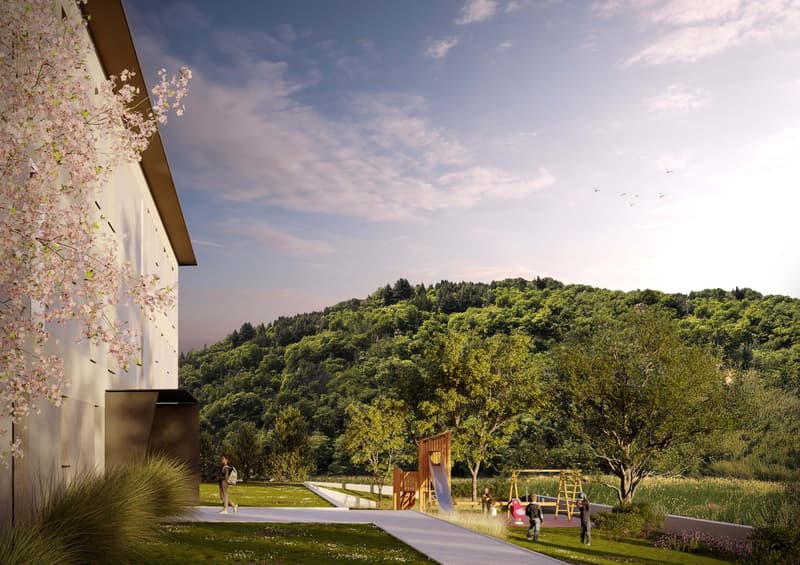 exterior view of a building with a cherry blossom tree, a walking path, and a playground