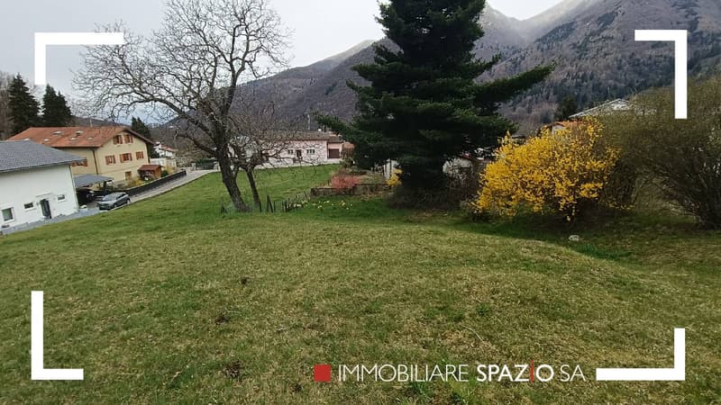 grassy field with trees and bushes, car parked by the houses, mountains in the background