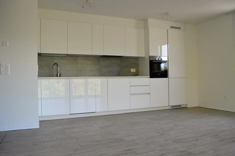modern white kitchen cabinets, wooden floor, integrated oven and dishwasher, granite countertop, sink, faucet