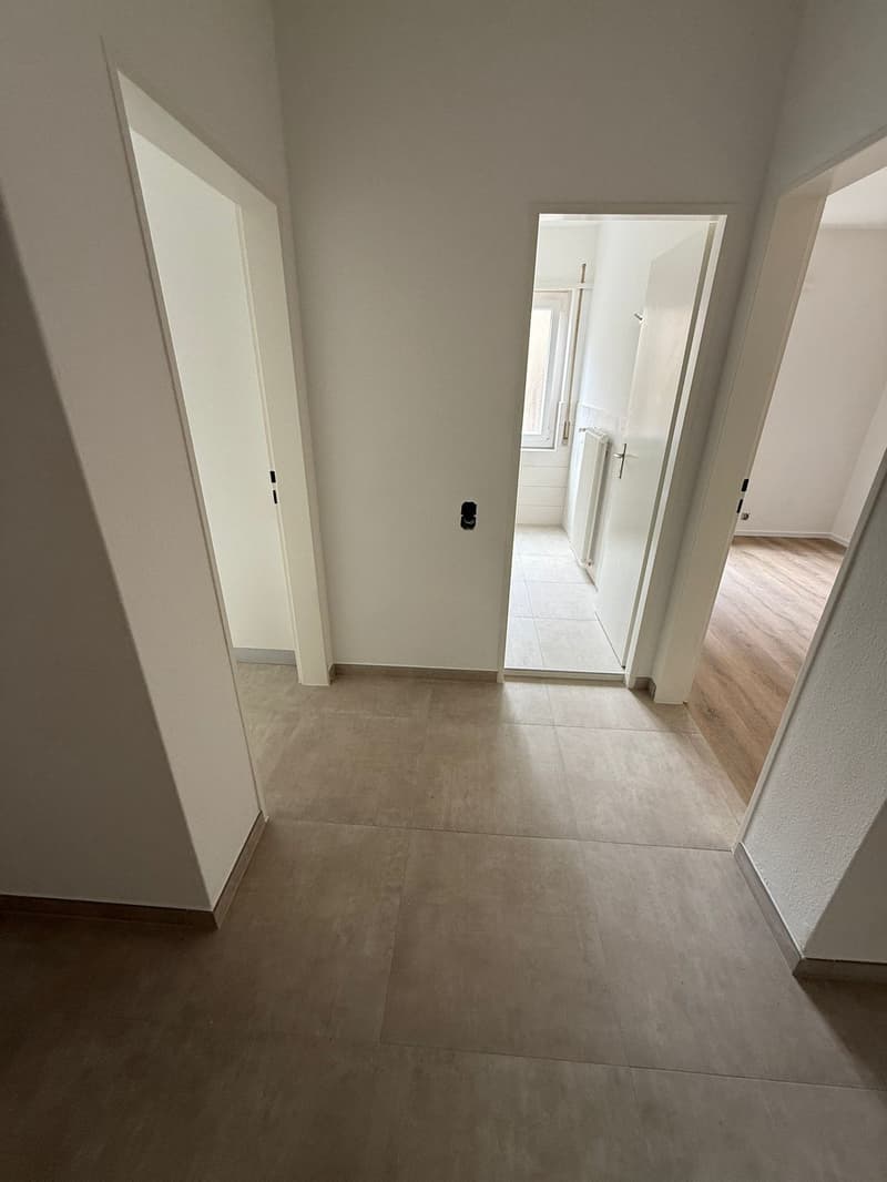 Komplett renoviert! 3 Zimmer - 1P - Breganzona (11)