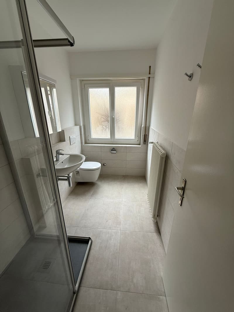 Komplett renoviert! 3 Zimmer - 1P - Breganzona (7)