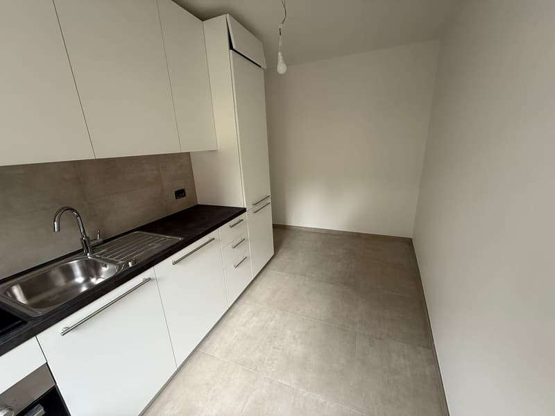 Komplett renoviert! 3 Zimmer - 1P - Breganzona (6)