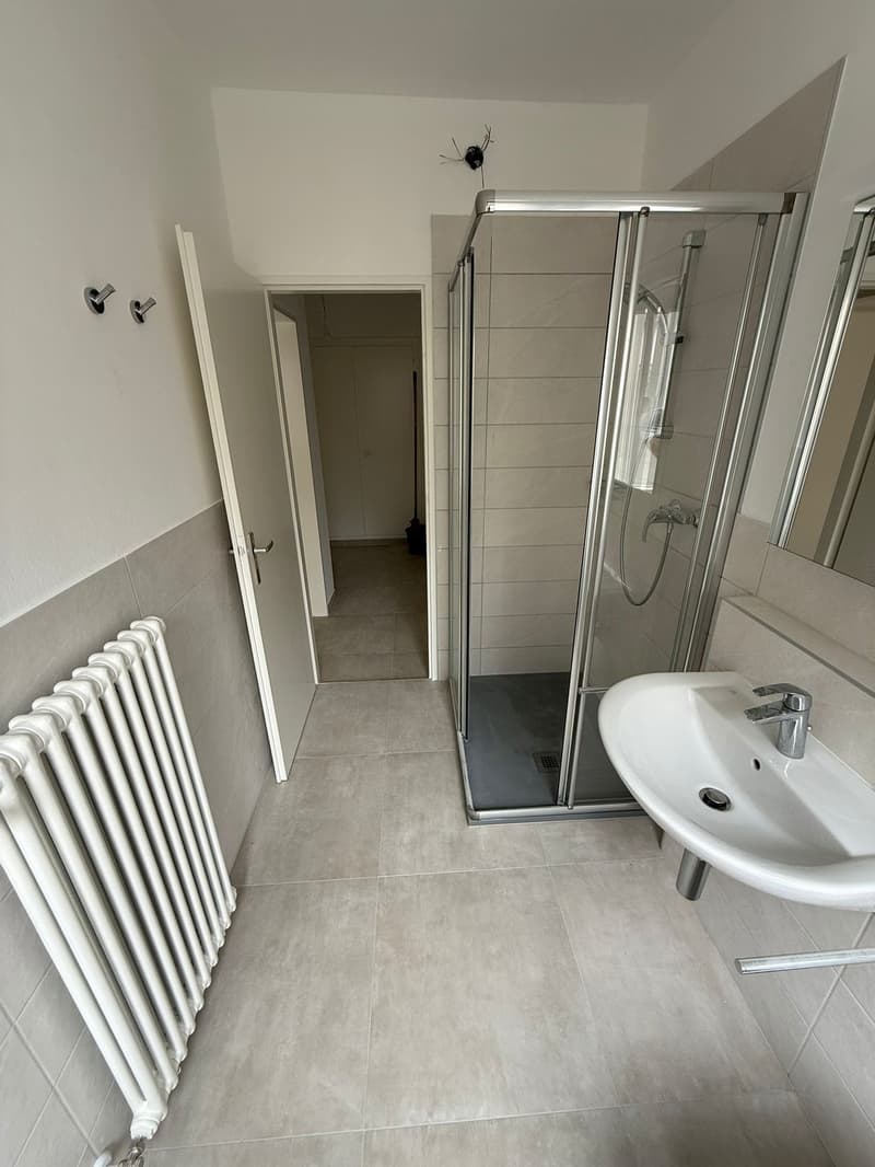 Komplett renoviert! 3 Zimmer - 1P - Breganzona (4)