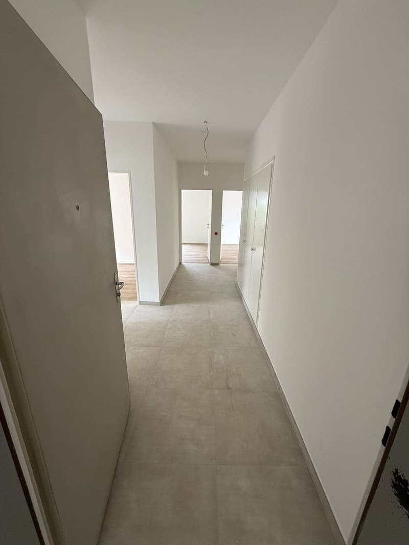 Komplett renoviert! 3 Zimmer - 1P - Breganzona (2)