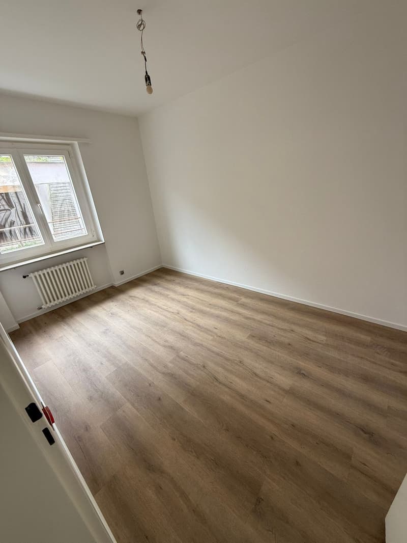 Komplett renoviert! 3 Zimmer - 1P - Breganzona (9)