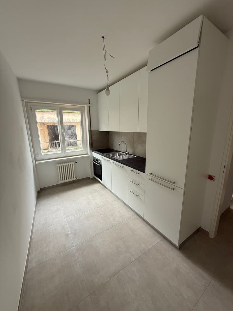 Komplett renoviert! 3 Zimmer - 1P - Breganzona (1)