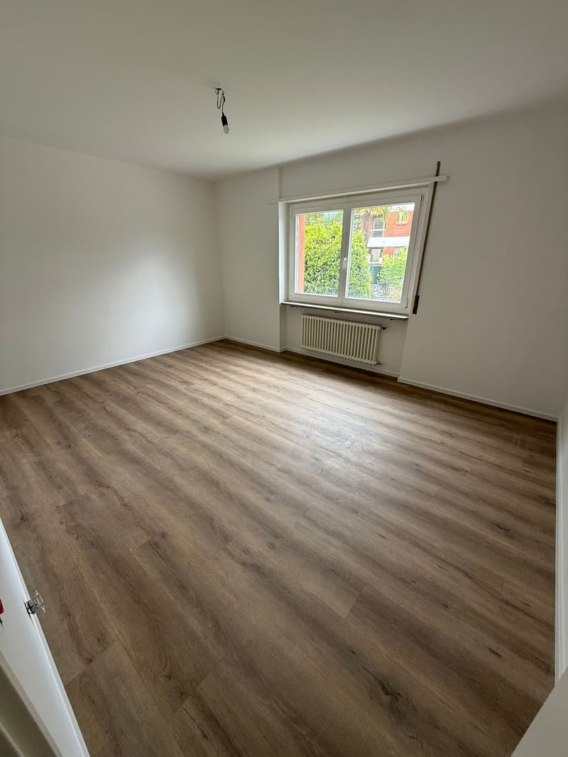 Komplett renoviert! 3 Zimmer - 1P - Breganzona (10)